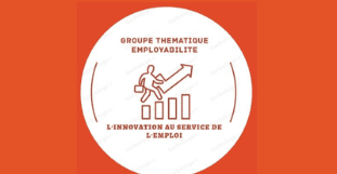 Grope Thématique Employabilité